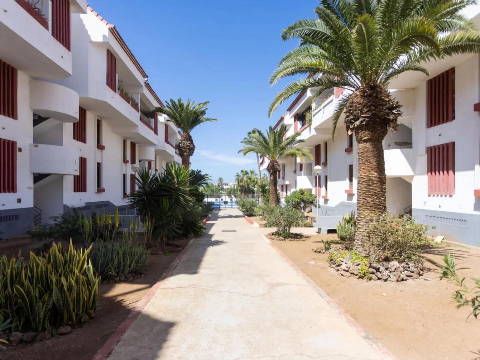 Apartment Edificio Altemar Playa de las Americas  Exterior photo